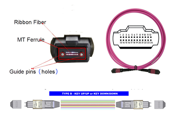 тип b USCONEC мадженты ядра OM4 24 гибкого провода 3M кабеля оптического волокна 100G 24 MTP MPO