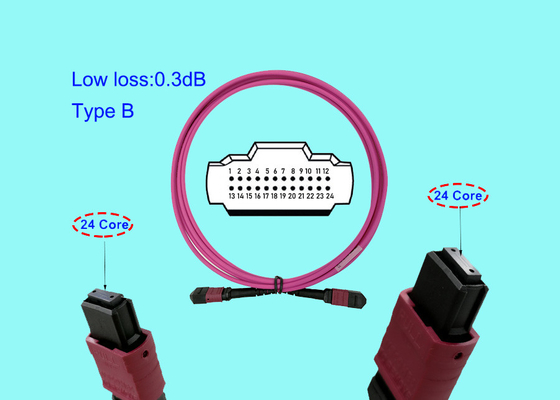 тип b USCONEC мадженты ядра OM4 24 гибкого провода 3M кабеля оптического волокна 100G 24 MTP MPO